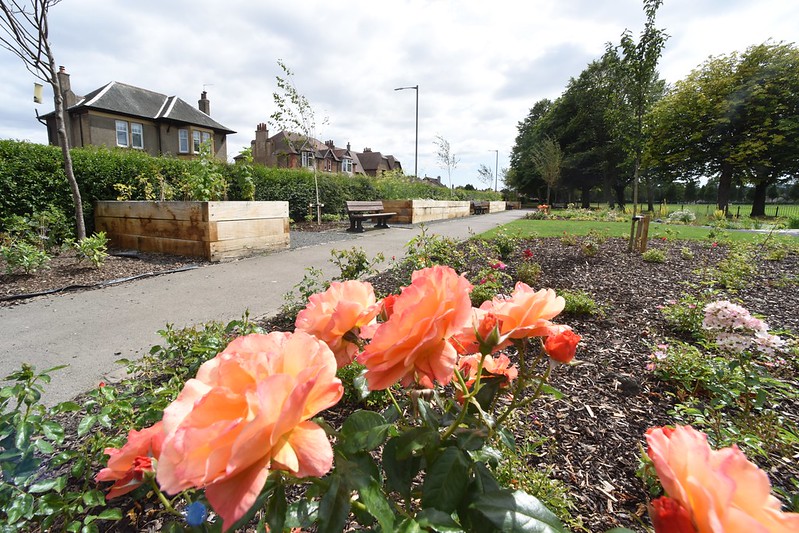 Zetland Park rose garden