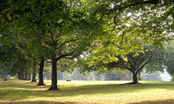 'Callendar Park' image